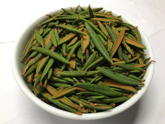 Bulk Labrador Tea - Premium Dried Leaves - Black Hill WoodsBulk Labrador Tea - Premium Dried LeavesHerb