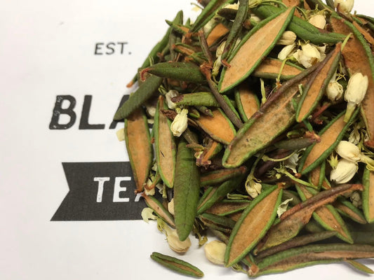 Jasmine Labrador Tea - Black Hill WoodsJasmine Labrador TeaLoose tea